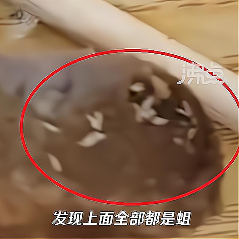 下载中心 第24页